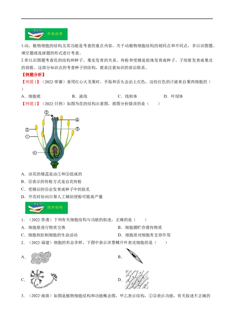 热点01植物的细胞结构及开花和结果-2023年中考生物热点&middot;重点&middot;难点专练（全国通用）（原卷版）_6生物中考复习_2023年中考复习资料_专项复习
