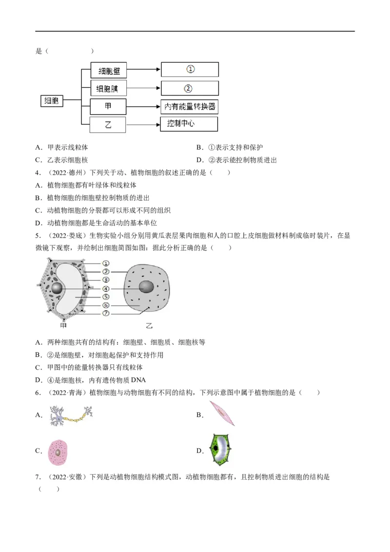 热点01植物的细胞结构及开花和结果-2023年中考生物热点&middot;重点&middot;难点专练（全国通用）（原卷版）_6生物中考复习_2023年中考复习资料_专项复习