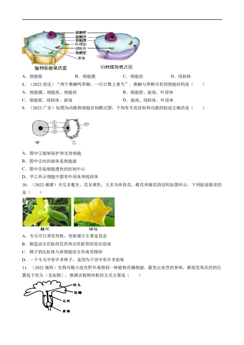 热点01植物的细胞结构及开花和结果-2023年中考生物热点&middot;重点&middot;难点专练（全国通用）（原卷版）_6生物中考复习_2023年中考复习资料_专项复习