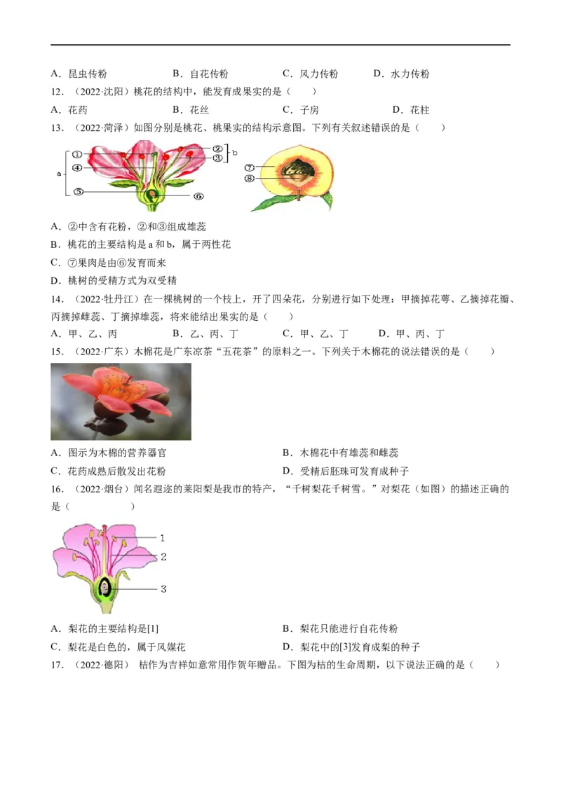 热点01植物的细胞结构及开花和结果-2023年中考生物热点&middot;重点&middot;难点专练（全国通用）（原卷版）_6生物中考复习_2023年中考复习资料_专项复习