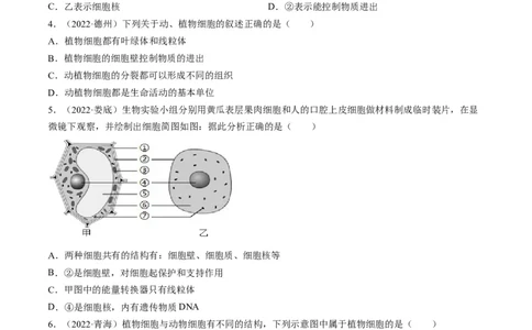 热点01植物的细胞结构及开花和结果-2023年中考生物热点&middot;重点&middot;难点专练（全国通用）（原卷版）_6生物中考复习_2023年中考复习资料_专项复习