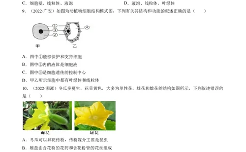 热点01植物的细胞结构及开花和结果-2023年中考生物热点&middot;重点&middot;难点专练（全国通用）（原卷版）_6生物中考复习_2023年中考复习资料_专项复习