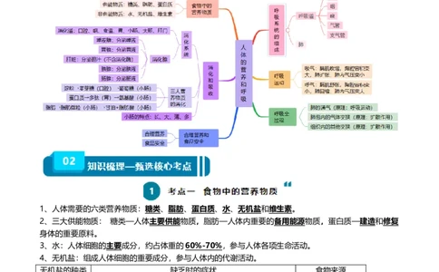清单05人体的营养与呼吸（5大考点+5大高频命题点）（教师版）_6生物中考复习_2024年中考复习资料_一轮复习资料_完口袋书2024年中考生物一轮复习知识清单_教师版（含答案解析）