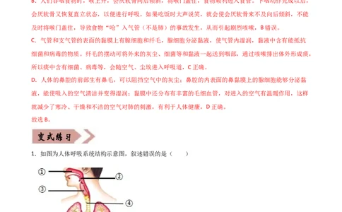 易错点09人体的呼吸-备战2022年中考生物考试易错题（解析版）_6生物中考复习_2023年中考复习资料_专项复习_备战2022年中考生物考试易错题