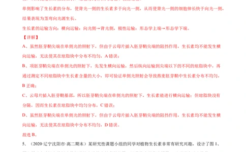 解密19植物的激素调节（分层训练）（解析版）_新高考复习资料_2021年新高考资料_高频考点解密2021年高考生物二轮复习讲义+分层训练4.7更新