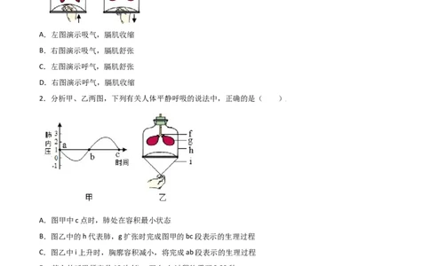 易错点09人体的呼吸-备战2022年中考生物考试易错题（原卷版）_6生物中考复习_2023年中考复习资料_专项复习_备战2022年中考生物考试易错题
