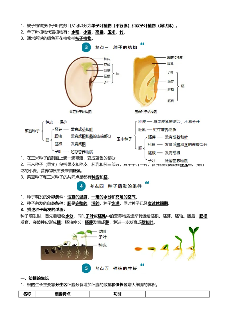清单03生物圈中有哪些绿色植物+被子植物的一生（6大考点+6大高频命题点）（学生版）_6生物中考复习_2024年中考复习资料_一轮复习资料_完口袋书2024年中考生物一轮复习知识清单