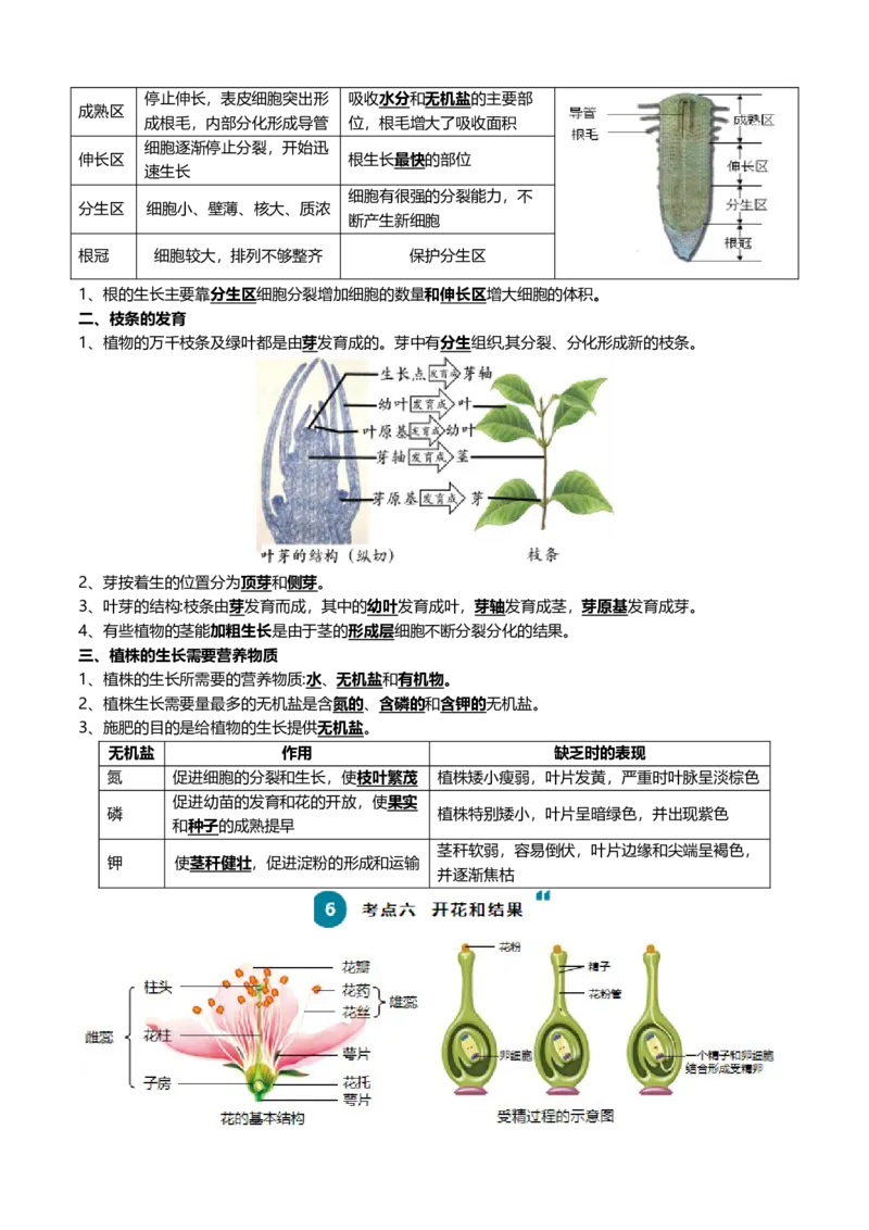 清单03生物圈中有哪些绿色植物+被子植物的一生（6大考点+6大高频命题点）（学生版）_6生物中考复习_2024年中考复习资料_一轮复习资料_完口袋书2024年中考生物一轮复习知识清单