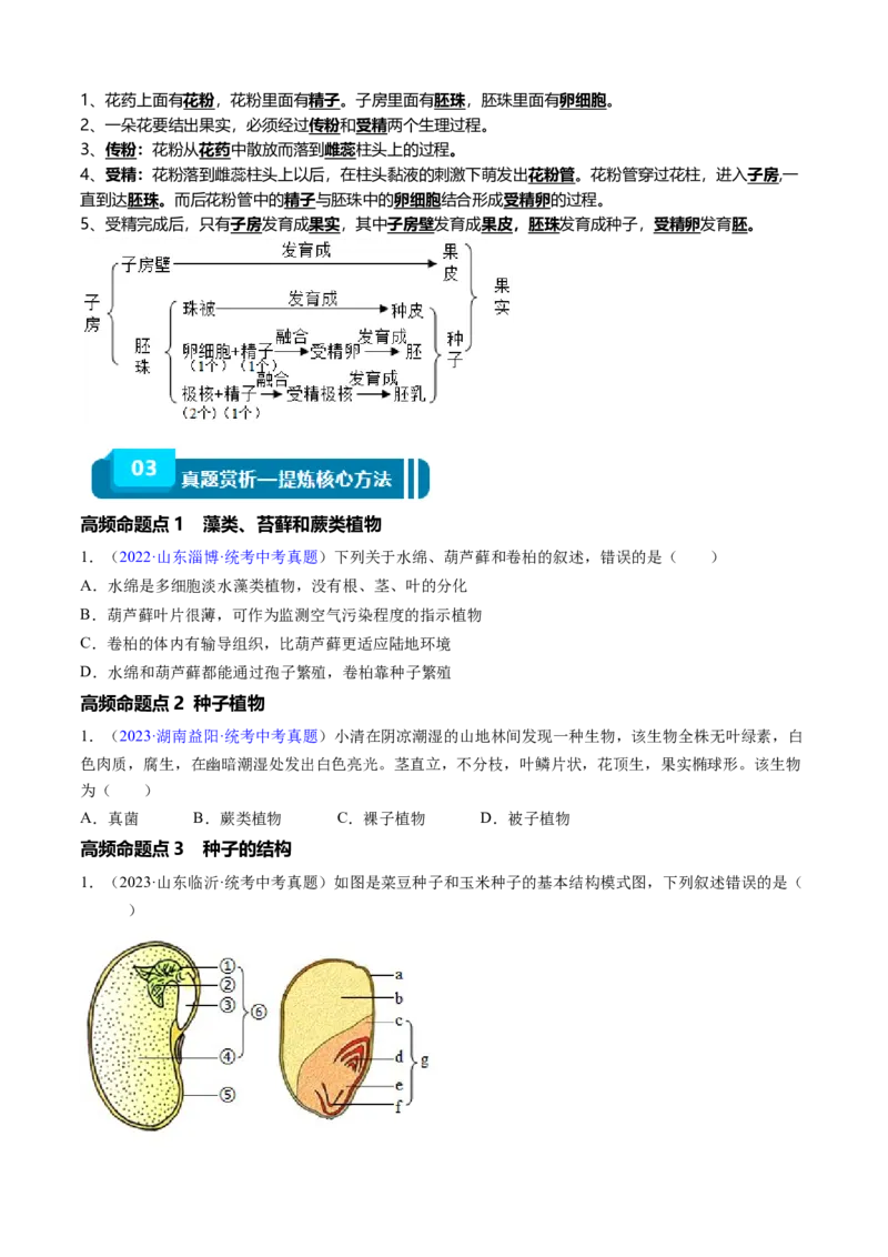清单03生物圈中有哪些绿色植物+被子植物的一生（6大考点+6大高频命题点）（学生版）_6生物中考复习_2024年中考复习资料_一轮复习资料_完口袋书2024年中考生物一轮复习知识清单
