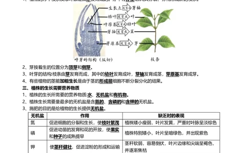 清单03生物圈中有哪些绿色植物+被子植物的一生（6大考点+6大高频命题点）（学生版）_6生物中考复习_2024年中考复习资料_一轮复习资料_完口袋书2024年中考生物一轮复习知识清单