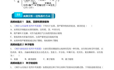 清单03生物圈中有哪些绿色植物+被子植物的一生（6大考点+6大高频命题点）（学生版）_6生物中考复习_2024年中考复习资料_一轮复习资料_完口袋书2024年中考生物一轮复习知识清单
