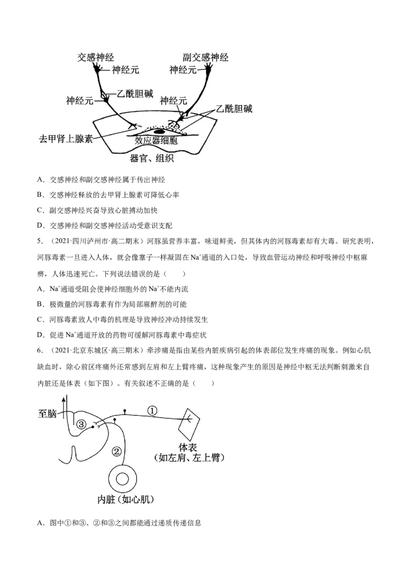 解密16神经调节（分层训练）（原卷版）_新高考复习资料_2021年新高考资料_高频考点解密2021年高考生物二轮复习讲义+分层训练4.7更新
