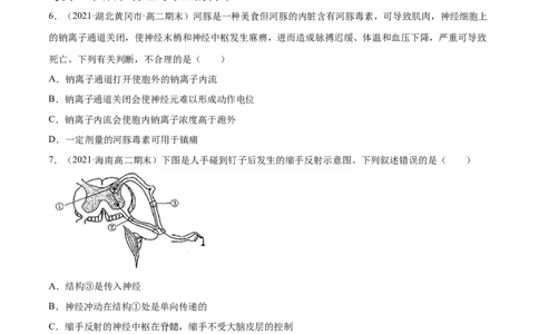 解密16神经调节（分层训练）（原卷版）_新高考复习资料_2021年新高考资料_高频考点解密2021年高考生物二轮复习讲义+分层训练4.7更新
