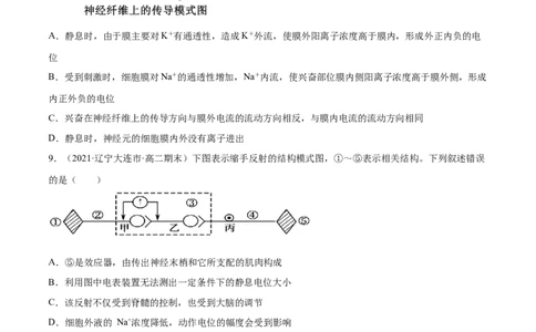 解密16神经调节（分层训练）（原卷版）_新高考复习资料_2021年新高考资料_高频考点解密2021年高考生物二轮复习讲义+分层训练4.7更新