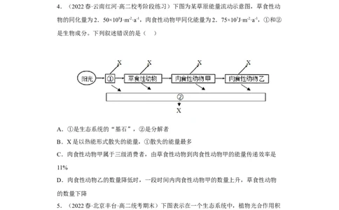 解密16生态系统及其稳定性（分层训练)（原版卷）_通用版（老高考）复习资料_2023年复习资料_二轮复习_高频考点解密2023年高考生物二轮复习讲义+分层训练（全国通用）