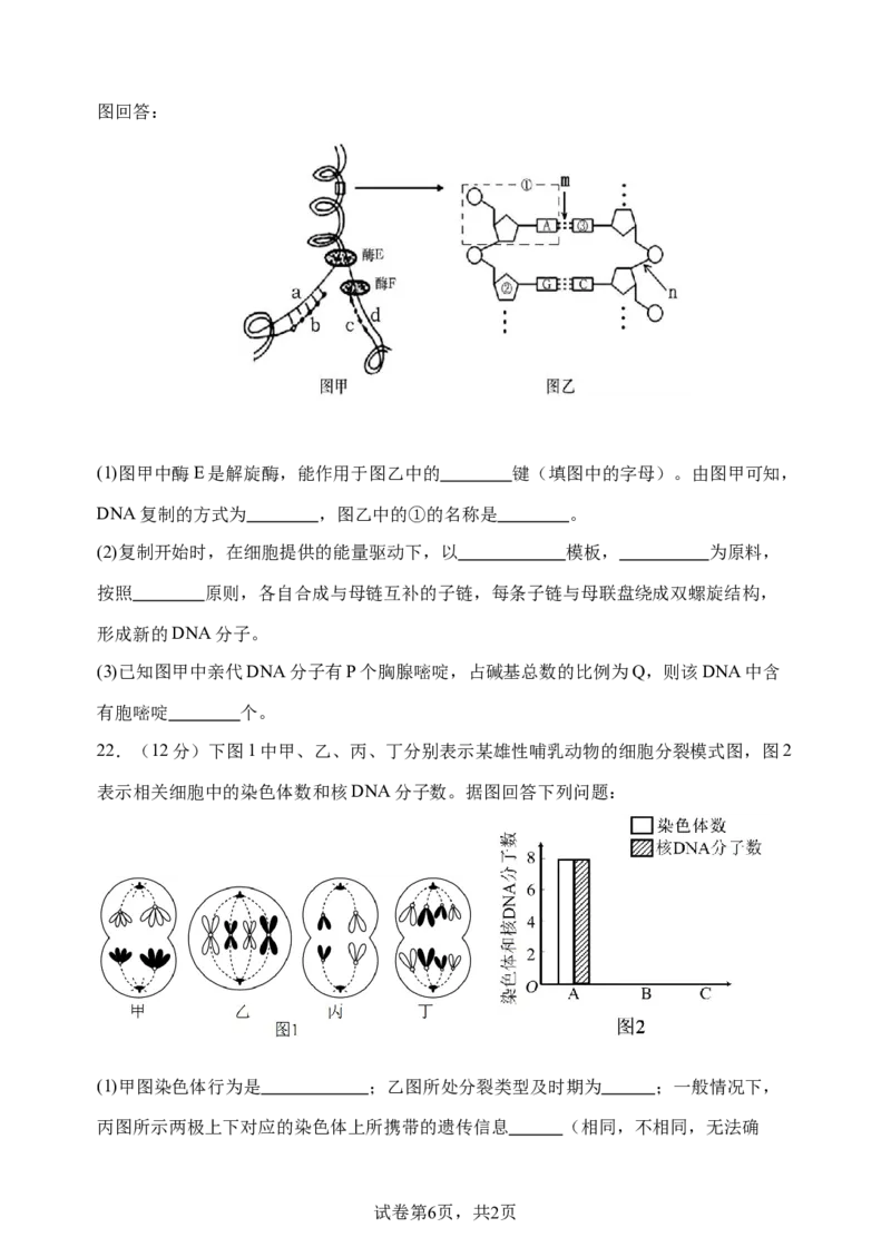 试卷2024-2025学年度高一下学期期中考试_2025年05月试卷_0516云南省玉溪市一中2024-2025学年高一下学期期中考试_云南省玉溪市一中2024-2025学年高一下学期期中考试生物Word版含答案
