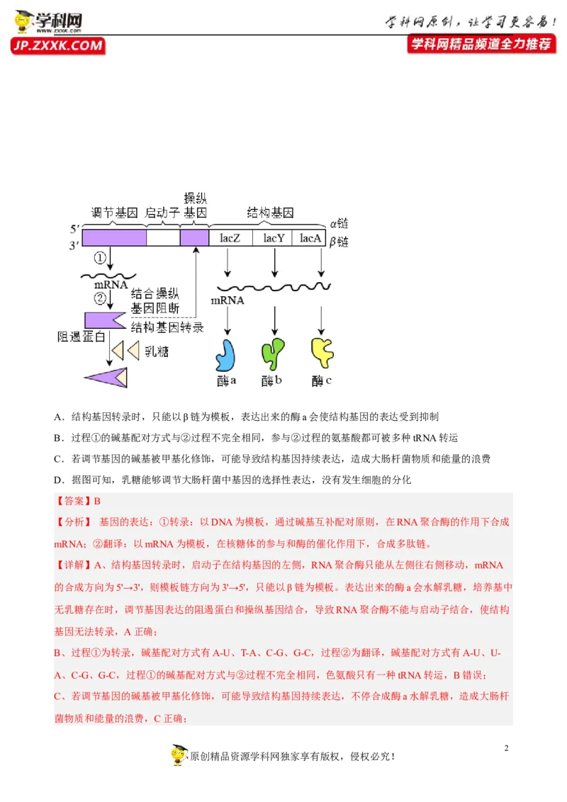 解密19基因工程（分层训练)（解析版）_新高考复习资料_2023年新高考复习资料_二轮复习_高频考点解密2023年高考生物二轮复习讲义+分层训练（全国通用）288808838