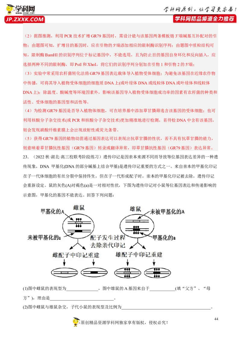 解密19基因工程（分层训练)（解析版）_新高考复习资料_2023年新高考复习资料_二轮复习_高频考点解密2023年高考生物二轮复习讲义+分层训练（全国通用）288808838