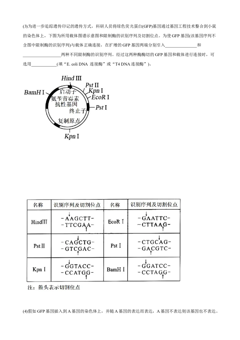 解密19基因工程（分层训练)（解析版）_新高考复习资料_2023年新高考复习资料_二轮复习_高频考点解密2023年高考生物二轮复习讲义+分层训练（全国通用）288808838