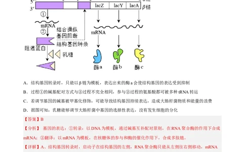 解密19基因工程（分层训练)（解析版）_新高考复习资料_2023年新高考复习资料_二轮复习_高频考点解密2023年高考生物二轮复习讲义+分层训练（全国通用）288808838
