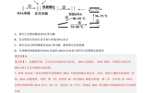 解密19基因工程（分层训练)（解析版）_新高考复习资料_2023年新高考复习资料_二轮复习_高频考点解密2023年高考生物二轮复习讲义+分层训练（全国通用）288808838