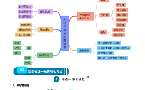 清单07人体生命活动的调节（5大考点+6大高频命题点）（教师版）_6生物中考复习_2024年中考复习资料_一轮复习资料_完口袋书2024年中考生物一轮复习知识清单