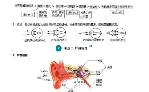 清单07人体生命活动的调节（5大考点+6大高频命题点）（教师版）_6生物中考复习_2024年中考复习资料_一轮复习资料_完口袋书2024年中考生物一轮复习知识清单