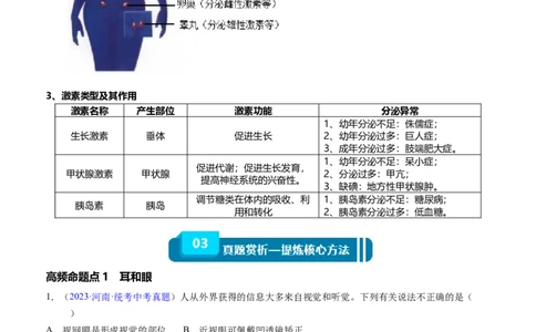 清单07人体生命活动的调节（5大考点+6大高频命题点）（教师版）_6生物中考复习_2024年中考复习资料_一轮复习资料_完口袋书2024年中考生物一轮复习知识清单