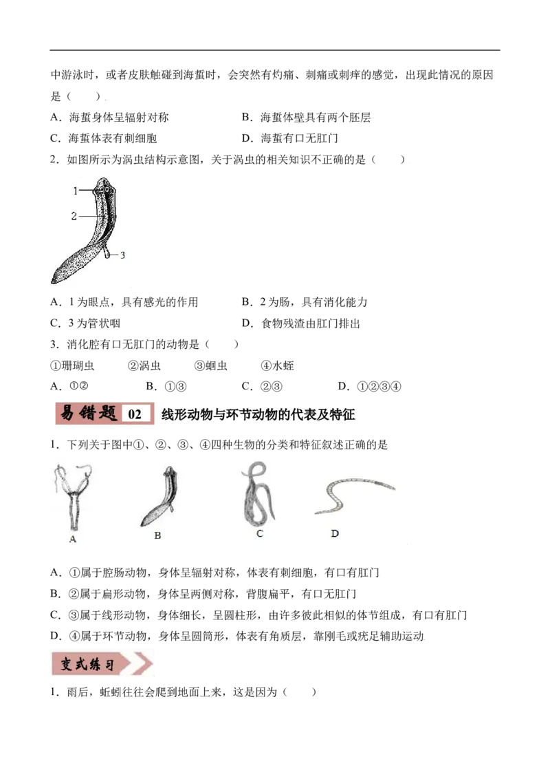 易错点13无脊椎动物的主要类群-备战2022年中考生物考试易错题（原卷版）_6生物中考复习_2023年中考复习资料_专项复习_备战2022年中考生物考试易错题