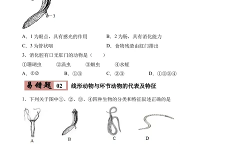 易错点13无脊椎动物的主要类群-备战2022年中考生物考试易错题（原卷版）_6生物中考复习_2023年中考复习资料_专项复习_备战2022年中考生物考试易错题