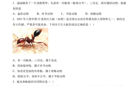 易错点13无脊椎动物的主要类群-备战2022年中考生物考试易错题（原卷版）_6生物中考复习_2023年中考复习资料_专项复习_备战2022年中考生物考试易错题
