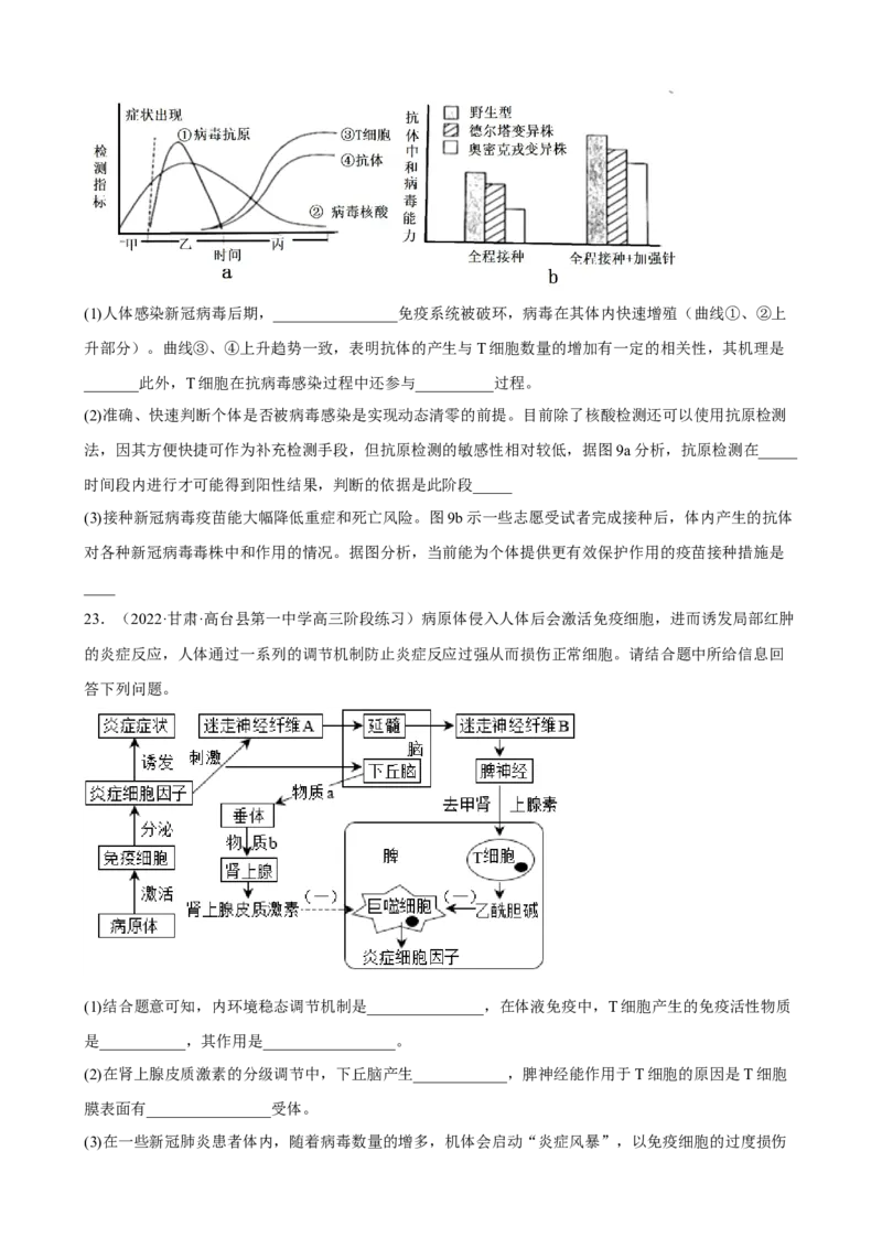 解密13免疫调节（分层训练)（原卷版）_新高考复习资料_2023年新高考复习资料_二轮复习_高频考点解密2023年高考生物二轮复习讲义+分层训练（全国通用）288808838