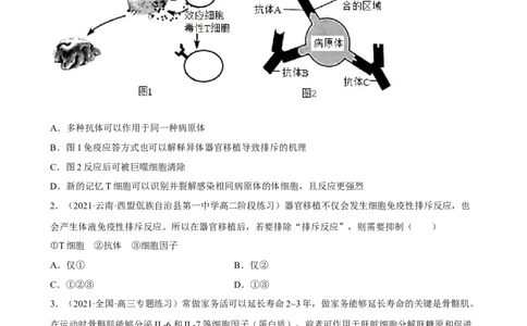 解密13免疫调节（分层训练)（原卷版）_新高考复习资料_2023年新高考复习资料_二轮复习_高频考点解密2023年高考生物二轮复习讲义+分层训练（全国通用）288808838