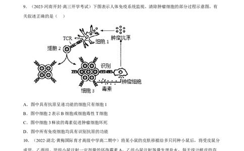 解密13免疫调节（分层训练)（原卷版）_新高考复习资料_2023年新高考复习资料_二轮复习_高频考点解密2023年高考生物二轮复习讲义+分层训练（全国通用）288808838