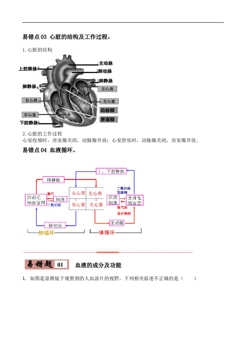 易错点10人体内的物质运输-备战2022年中考生物考试易错题（解析版）_6生物中考复习_2023年中考复习资料_专项复习_备战2022年中考生物考试易错题