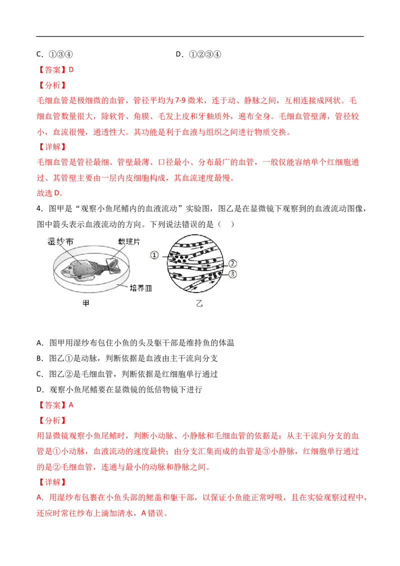 易错点10人体内的物质运输-备战2022年中考生物考试易错题（解析版）_6生物中考复习_2023年中考复习资料_专项复习_备战2022年中考生物考试易错题