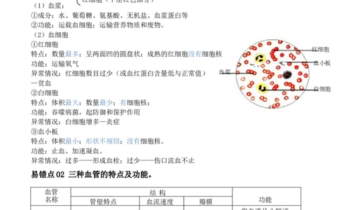 易错点10人体内的物质运输-备战2022年中考生物考试易错题（解析版）_6生物中考复习_2023年中考复习资料_专项复习_备战2022年中考生物考试易错题