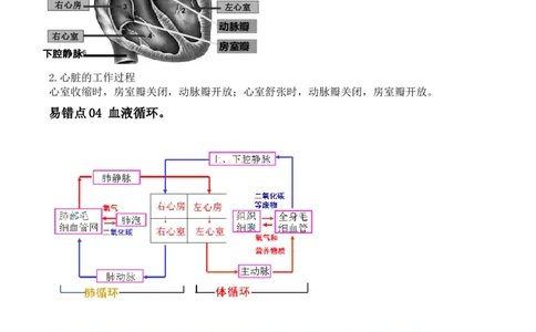 易错点10人体内的物质运输-备战2022年中考生物考试易错题（解析版）_6生物中考复习_2023年中考复习资料_专项复习_备战2022年中考生物考试易错题