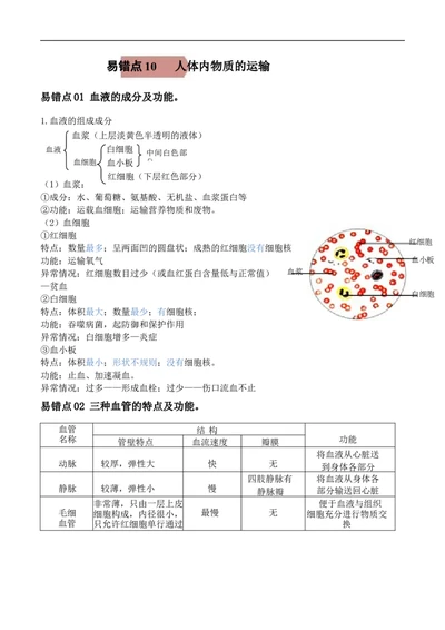 易错点10人体内的物质运输-备战2022年中考生物考试易错题（解析版）_6生物中考复习_2023年中考复习资料_专项复习_备战2022年中考生物考试易错题