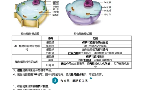 清单02生物体的结构层次（6大考点+6大高频命题点）（学生版）_6生物中考复习_2024年中考复习资料_一轮复习资料_完口袋书2024年中考生物一轮复习知识清单