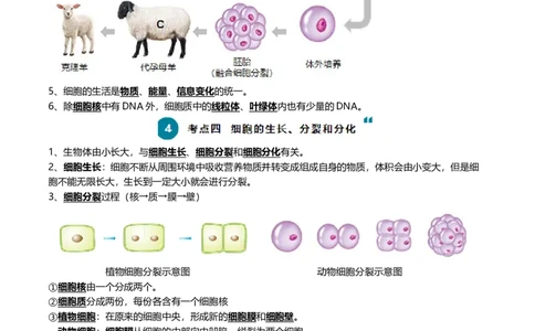 清单02生物体的结构层次（6大考点+6大高频命题点）（学生版）_6生物中考复习_2024年中考复习资料_一轮复习资料_完口袋书2024年中考生物一轮复习知识清单