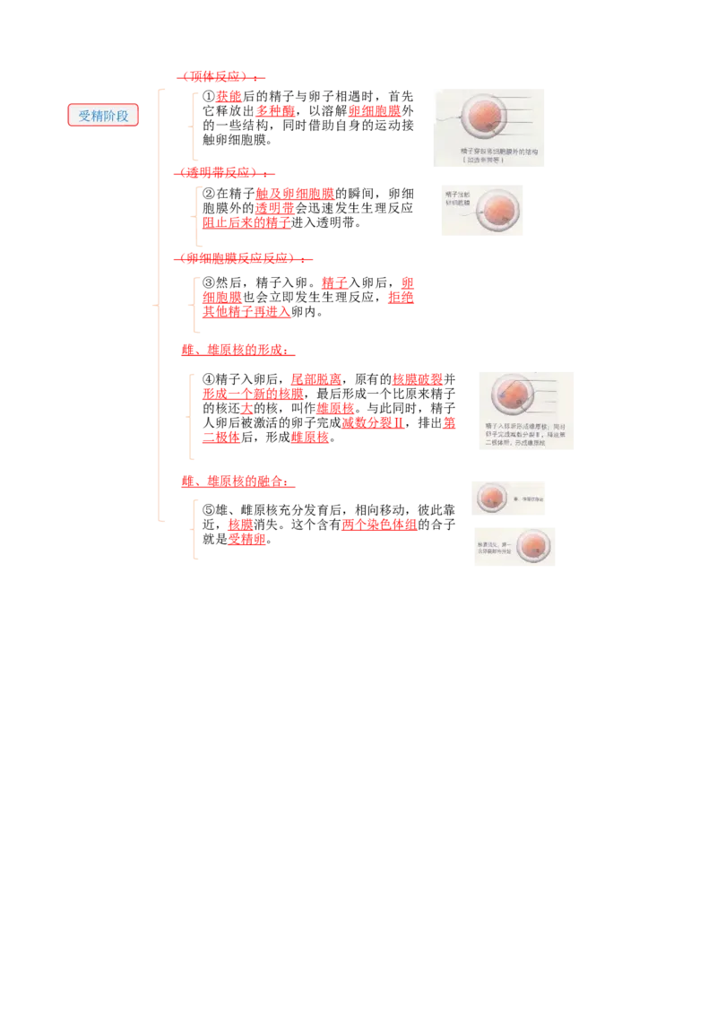 解密18细胞工程（讲义）（教师版）_新高考复习资料_2023年新高考复习资料_二轮复习_高频考点解密2023年高考生物二轮复习讲义+分层训练（全国通用）288808838