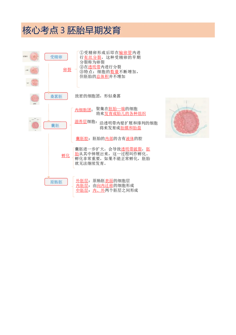 解密18细胞工程（讲义）（教师版）_新高考复习资料_2023年新高考复习资料_二轮复习_高频考点解密2023年高考生物二轮复习讲义+分层训练（全国通用）288808838
