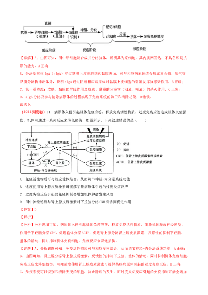 解密13免疫调节（讲义)（教师版）_通用版（老高考）复习资料_2023年复习资料_二轮复习_高频考点解密2023年高考生物二轮复习讲义+分层训练（全国通用）