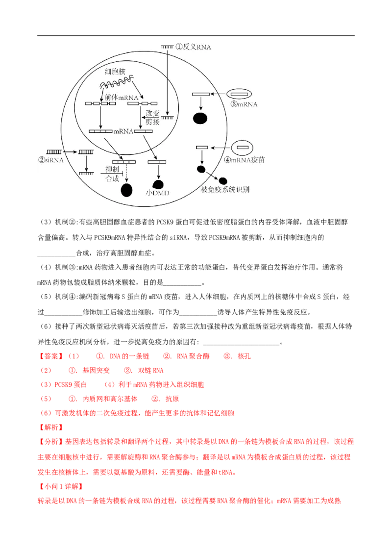 解密13免疫调节（讲义)（教师版）_通用版（老高考）复习资料_2023年复习资料_二轮复习_高频考点解密2023年高考生物二轮复习讲义+分层训练（全国通用）