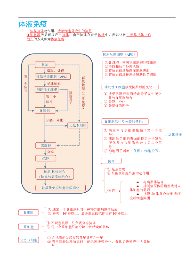 解密13免疫调节（讲义)（教师版）_通用版（老高考）复习资料_2023年复习资料_二轮复习_高频考点解密2023年高考生物二轮复习讲义+分层训练（全国通用）