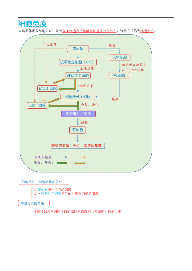 解密13免疫调节（讲义)（教师版）_通用版（老高考）复习资料_2023年复习资料_二轮复习_高频考点解密2023年高考生物二轮复习讲义+分层训练（全国通用）