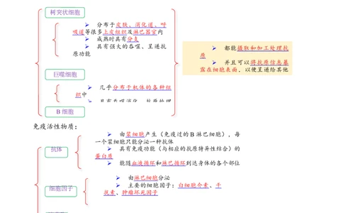 解密13免疫调节（讲义)（教师版）_通用版（老高考）复习资料_2023年复习资料_二轮复习_高频考点解密2023年高考生物二轮复习讲义+分层训练（全国通用）
