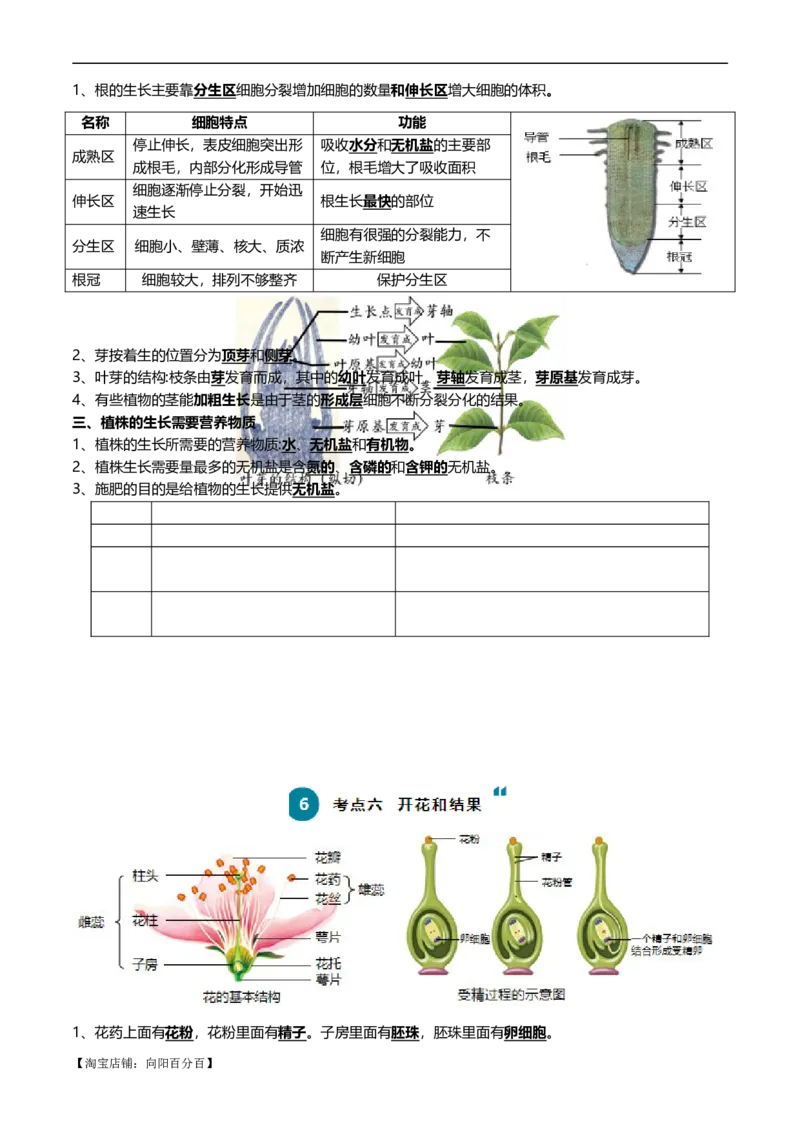 清单03生物圈中有哪些绿色植物+被子植物的一生（6大考点+6大高频命题点）（教师版）_6生物中考复习_2024年中考复习资料_一轮复习资料_完口袋书2024年中考生物一轮复习知识清单
