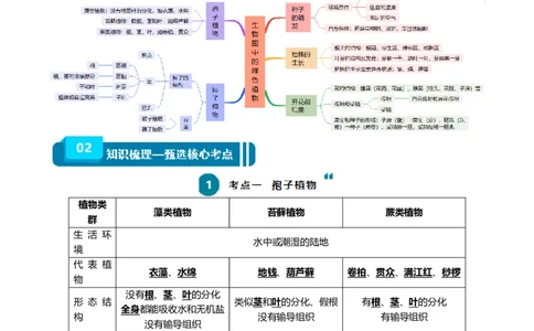 清单03生物圈中有哪些绿色植物+被子植物的一生（6大考点+6大高频命题点）（教师版）_6生物中考复习_2024年中考复习资料_一轮复习资料_完口袋书2024年中考生物一轮复习知识清单